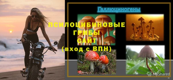 тгк Магас
